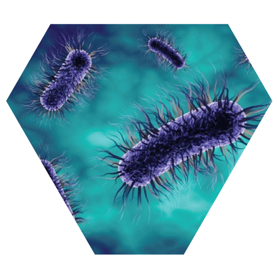 Microorganisms plasmawise icon